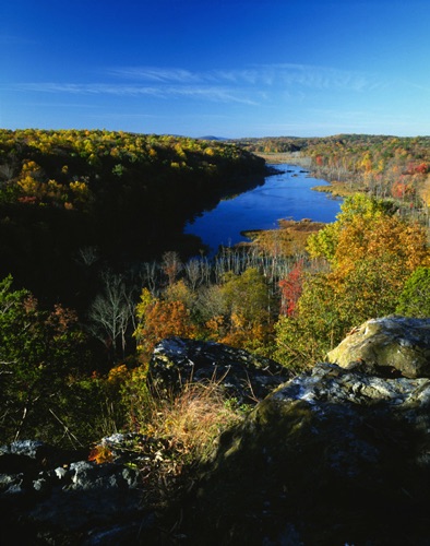 Johnsonburg Swamp Nature Conservancy Preserve, Warren County, NJ (MF).jpg